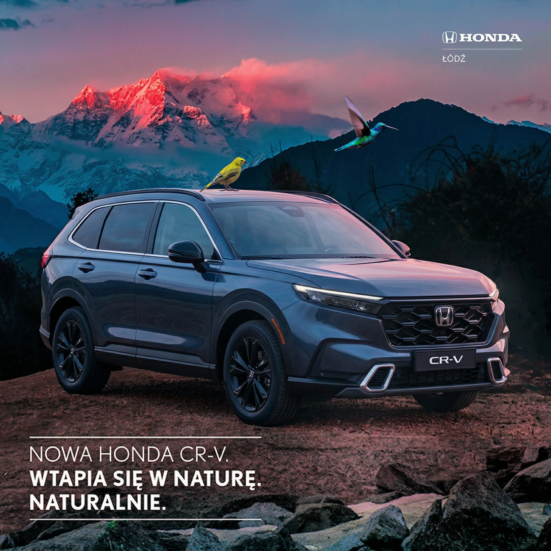 Automobilowe Opowieści: Magia Ruchu